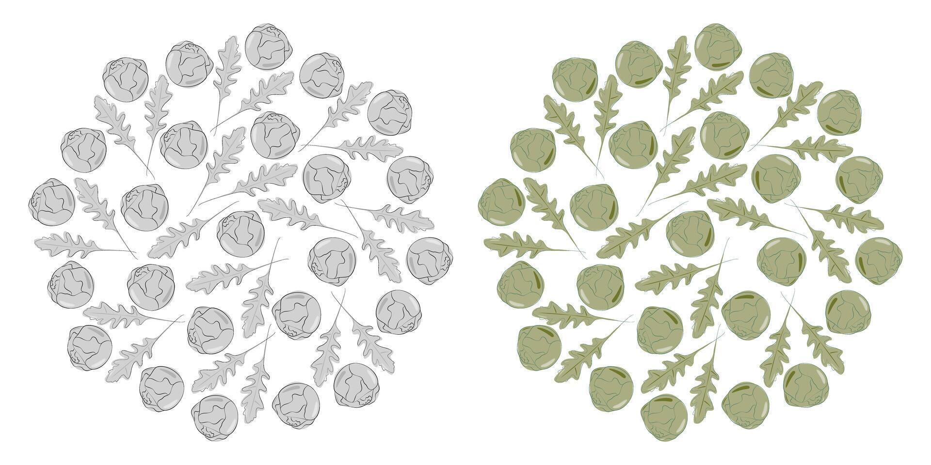 Brussels sprouts Heads and Arugula leaves Monochrome gray and green Circular Background Texture idea. Isolated illustration Thematic cards, poster, price tag, label or web promo banner, leaflet vector