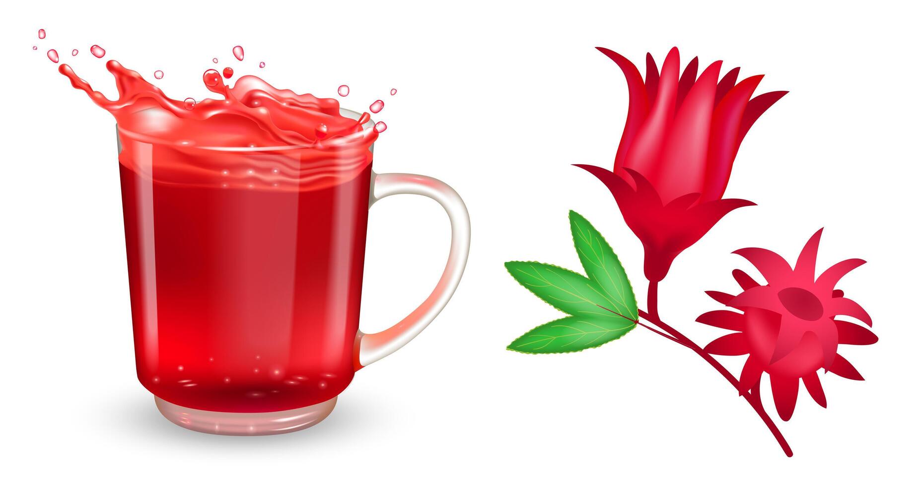 Set of red hibiscus flower and tea transparent cup with red hibiscus tea and splash. Realistic design elements. vector