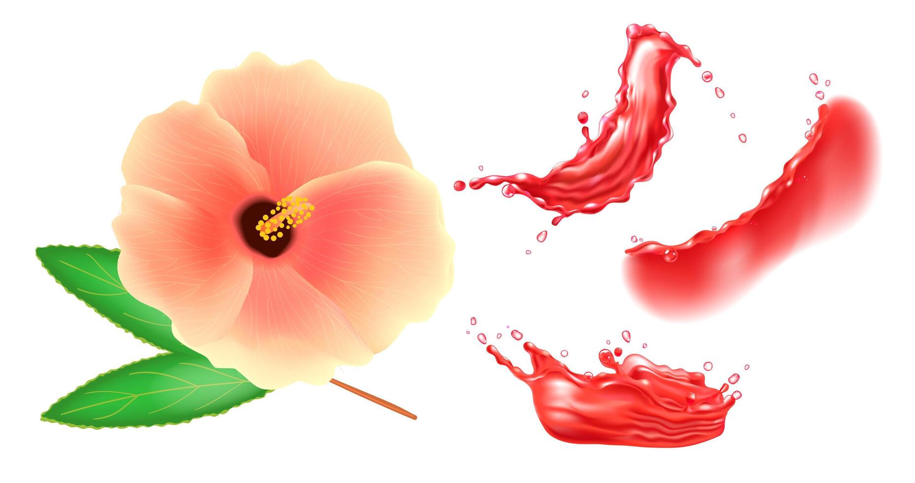 Set of pink hibiscus flower and red liquid splashes. Realistic design elements. vector