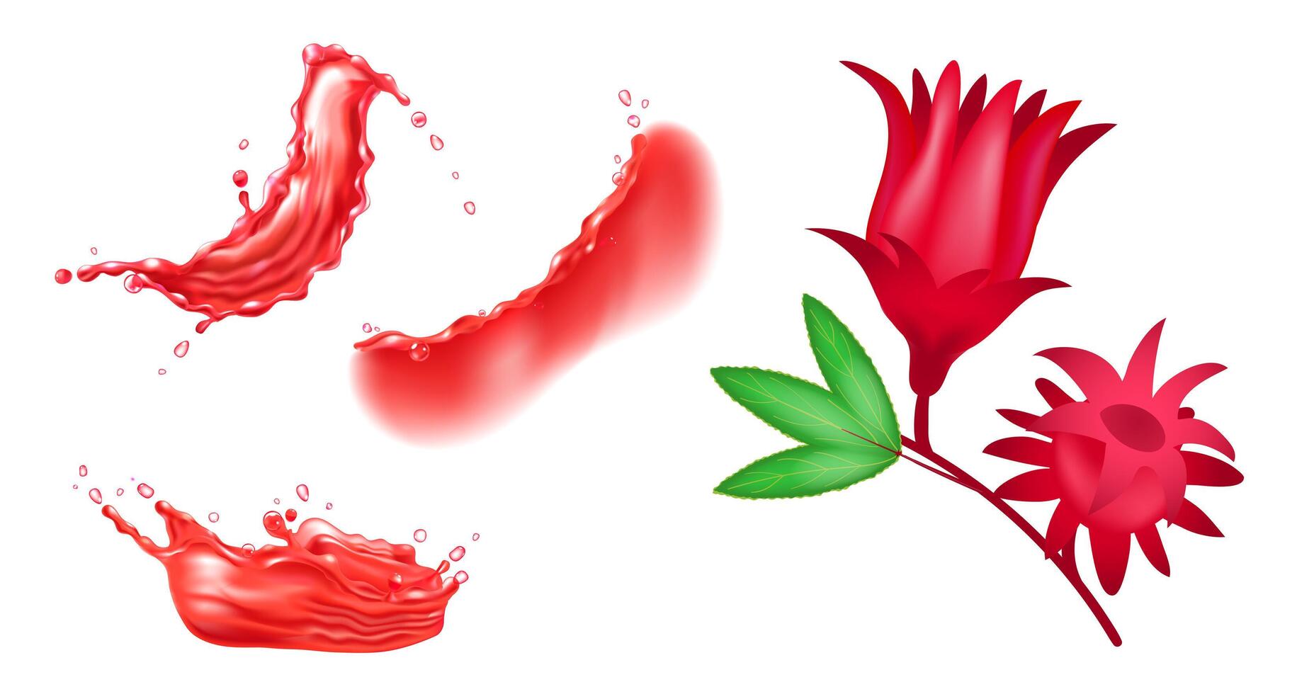 Set of red hibiscus flower and red liquid splashes. Realistic design elements. vector