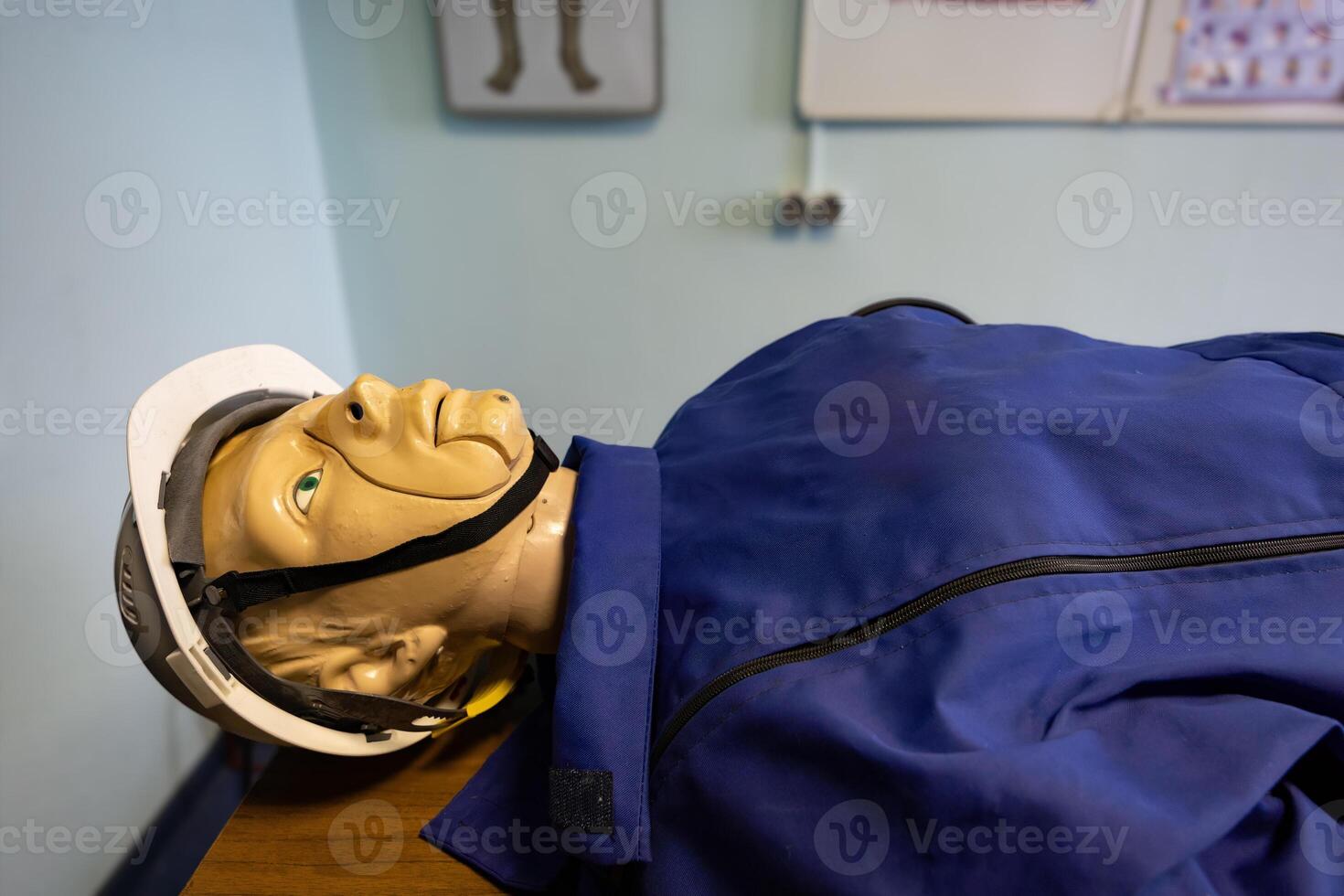 CPR training mannequin in medical class photo