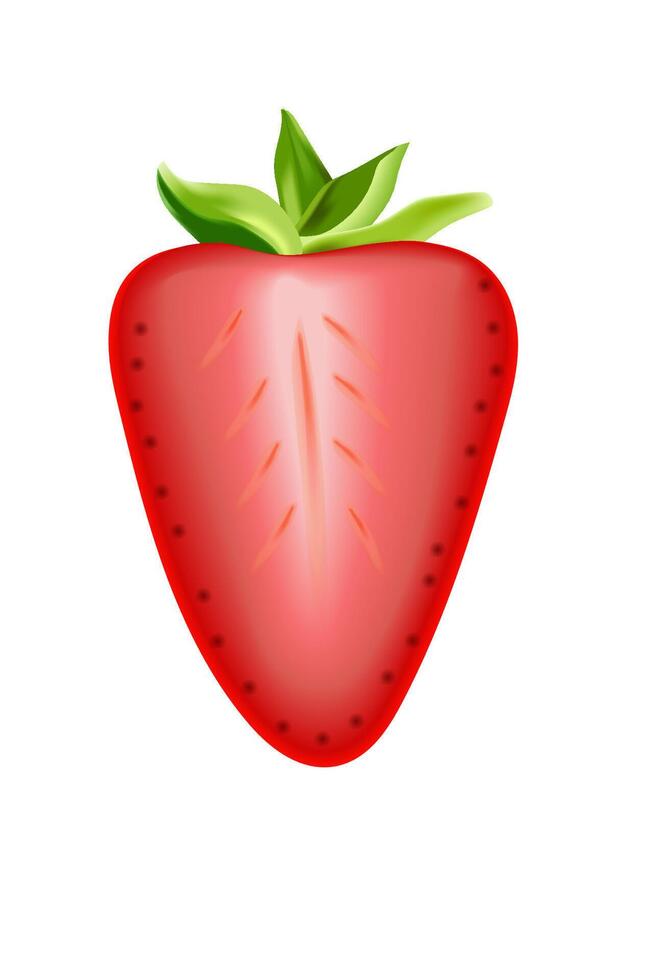 Half a cut strawberry vector