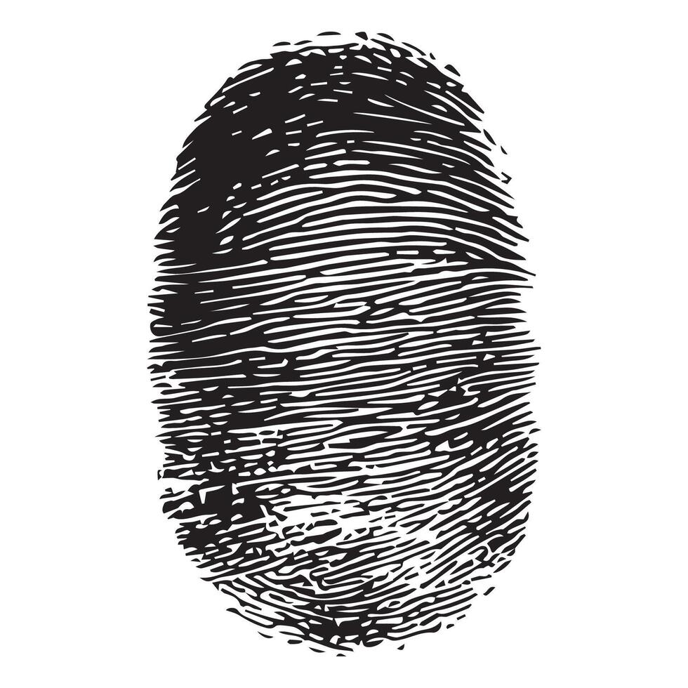 fingerprint illustration on white background vector