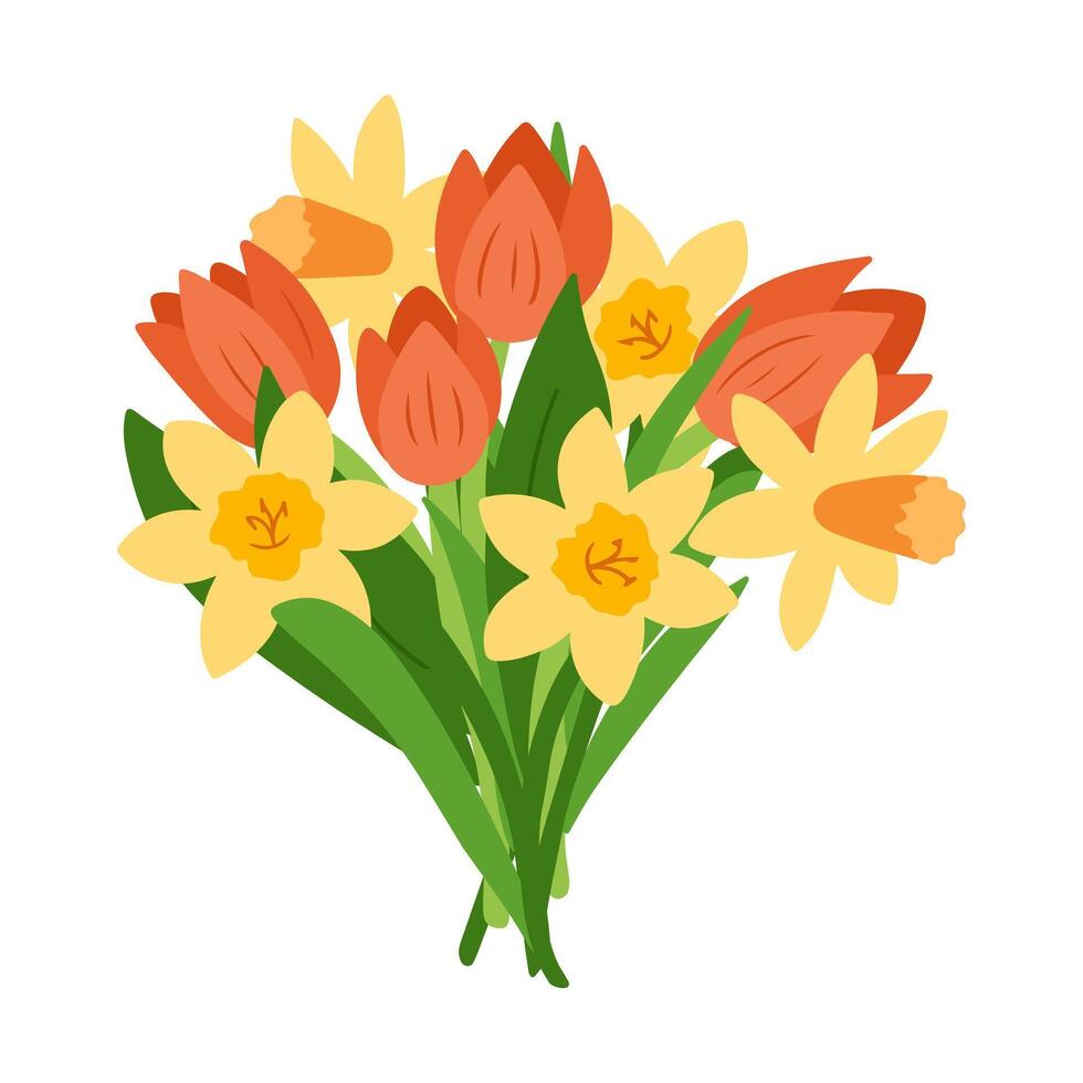 Beautiful spring bouquet of red tulips and yellow daffodils with green leaves, arranged in a vibrant floral composition. Floral drawing isolated on white background. vector