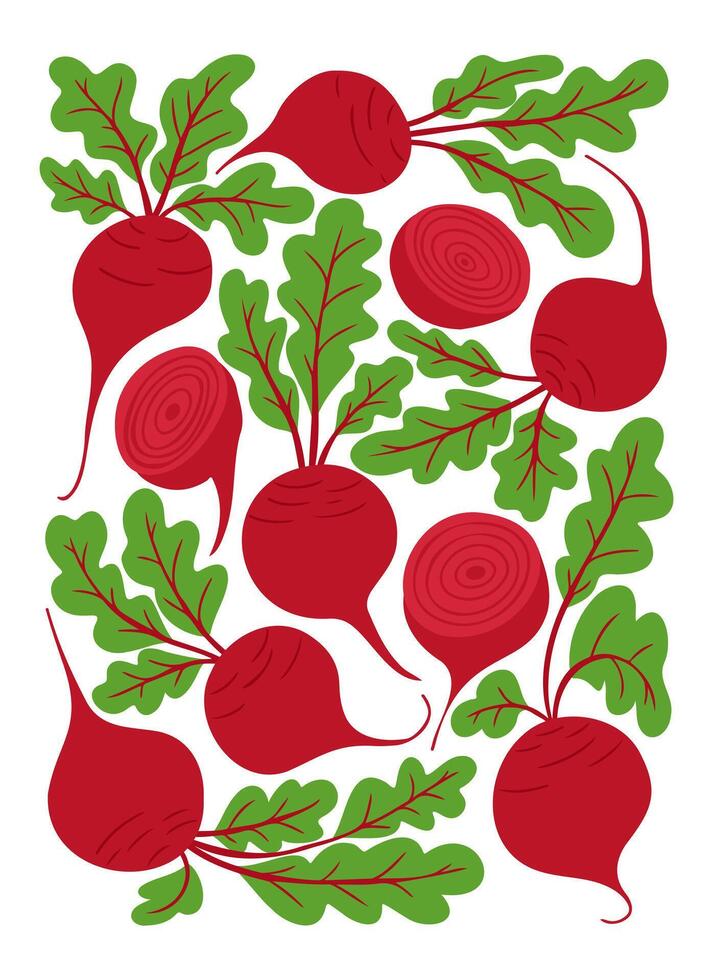 Colorful poster of fresh red beetroots with green leaves, including whole and sliced beets, arranged in a decorative pattern vector
