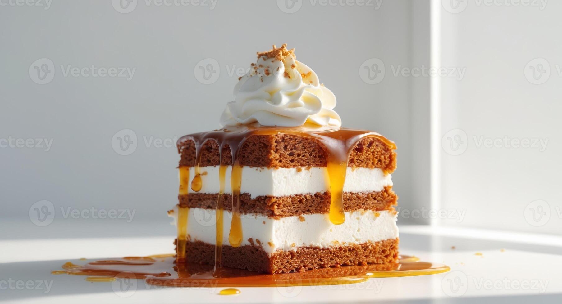 A piece of cake with whipped cream and caramel sauce photo