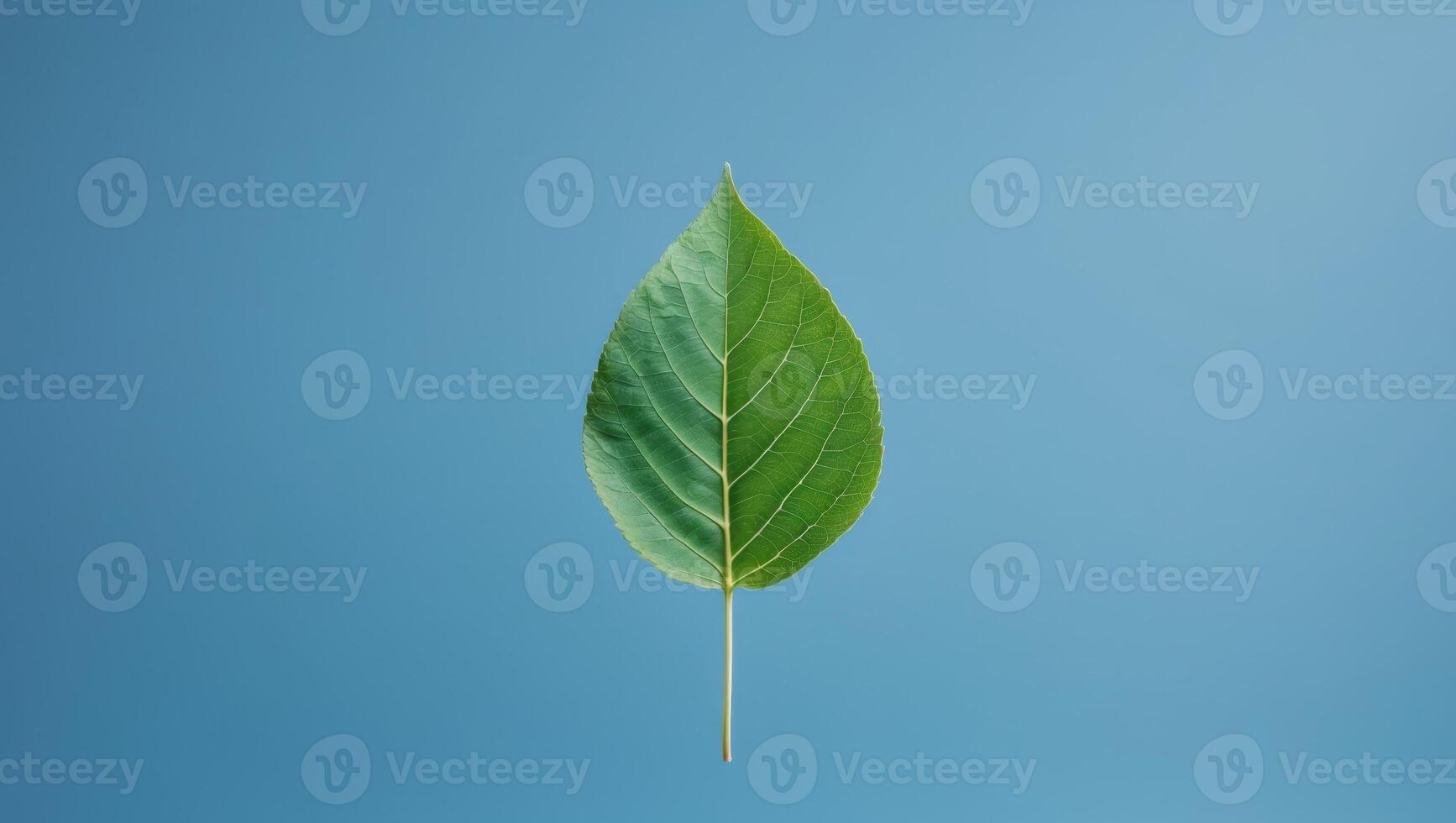 A leaf displaying vivid blue background creating a striking contrast with its natural green color photo