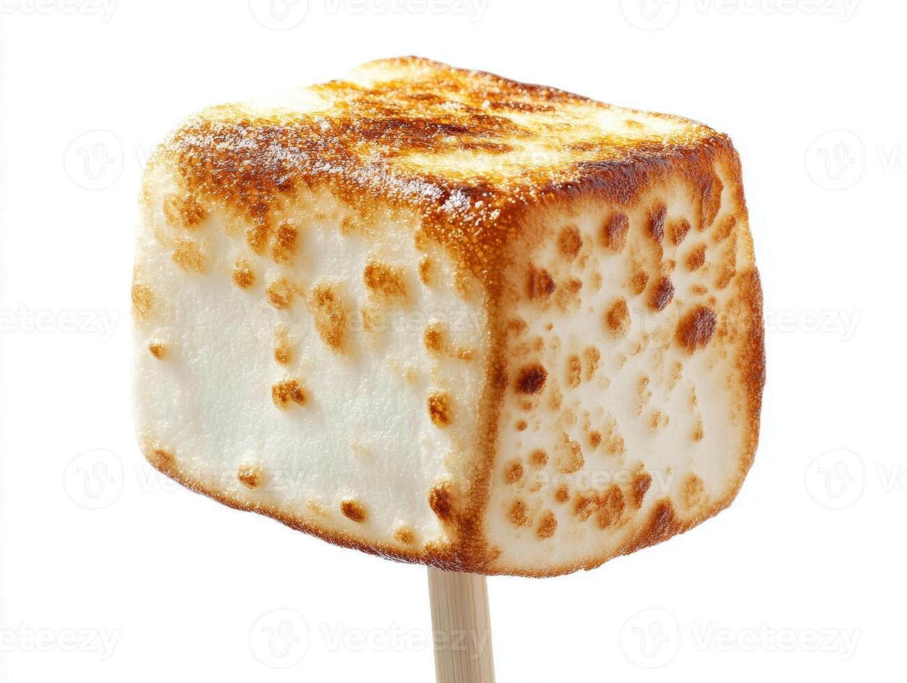 Perfectly toasted marshmallow on a stick ready for s'mores photo