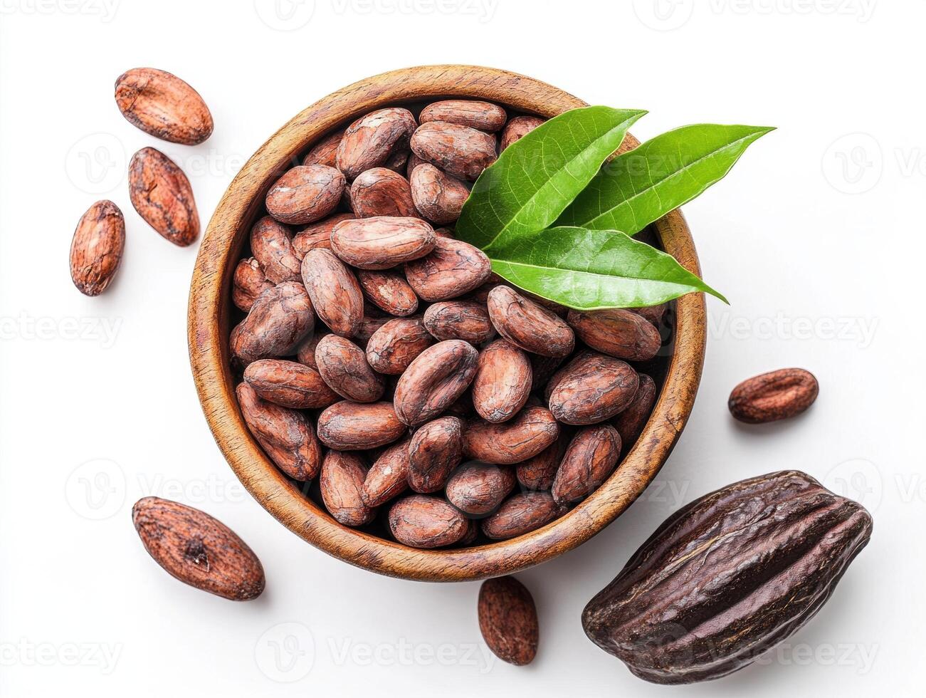 Cocoa beans harvested and displayed in a wooden bowl with leaves photo