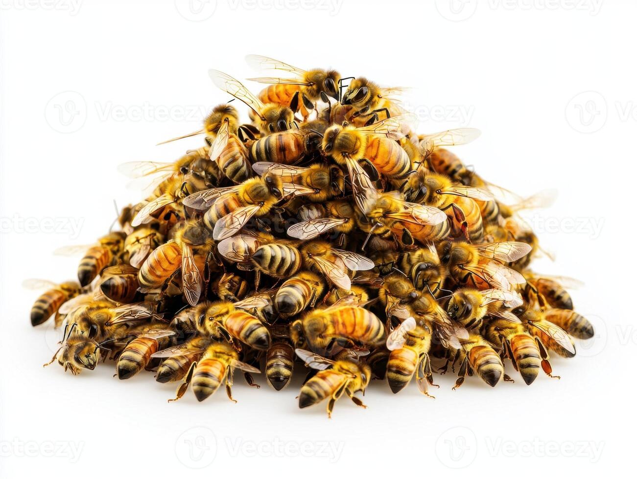Close-up of a large group of bees on a white surface background photo