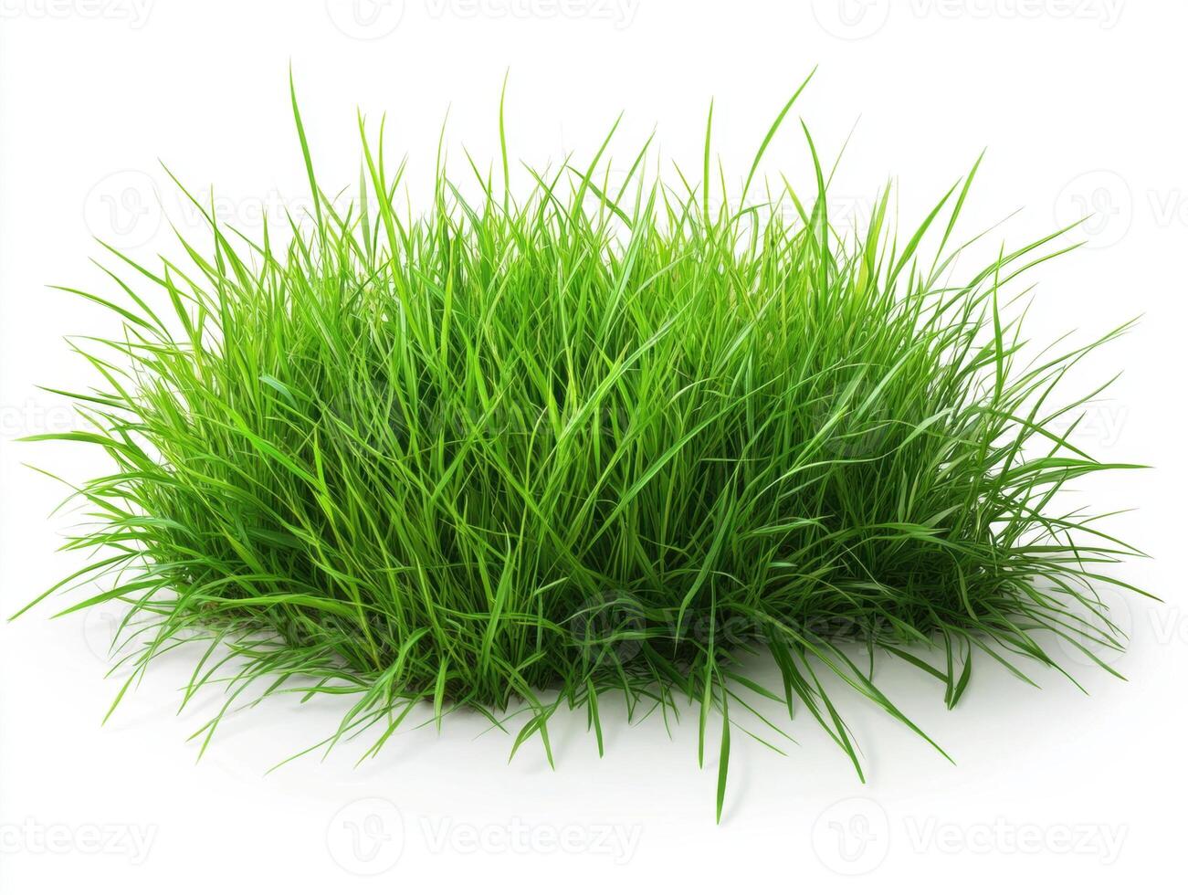 Fresh green grass patch covering the ground with vibrant color photo