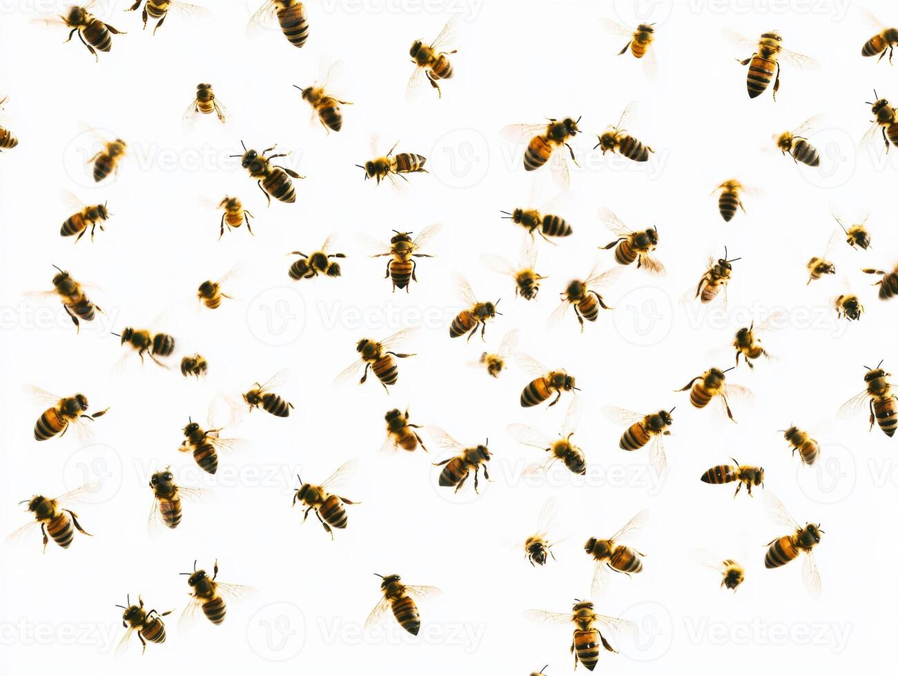 Swarming bees in intricate flight patterns over white background photo
