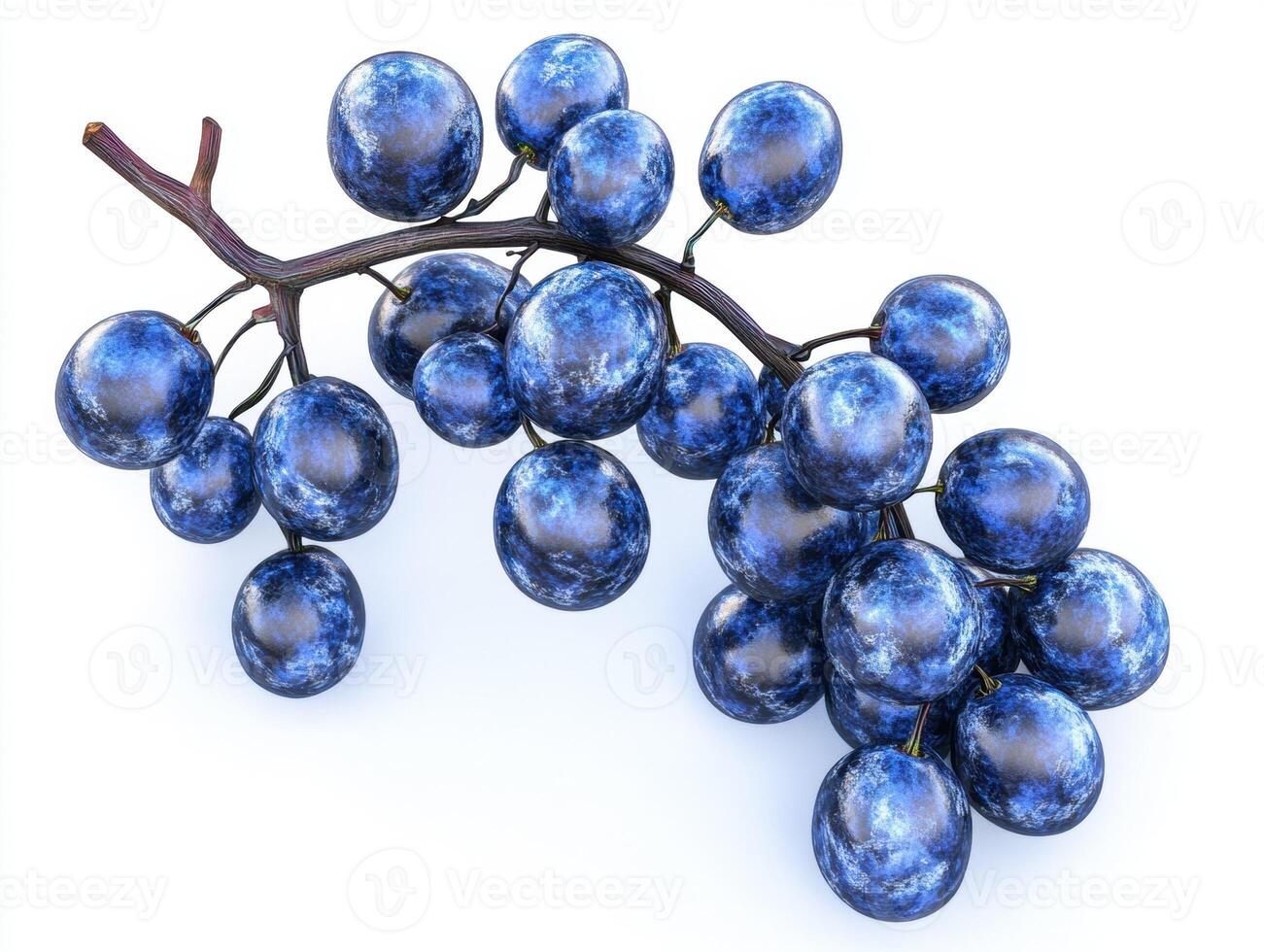 Cluster of realistic blue grapes on a slender stem photo