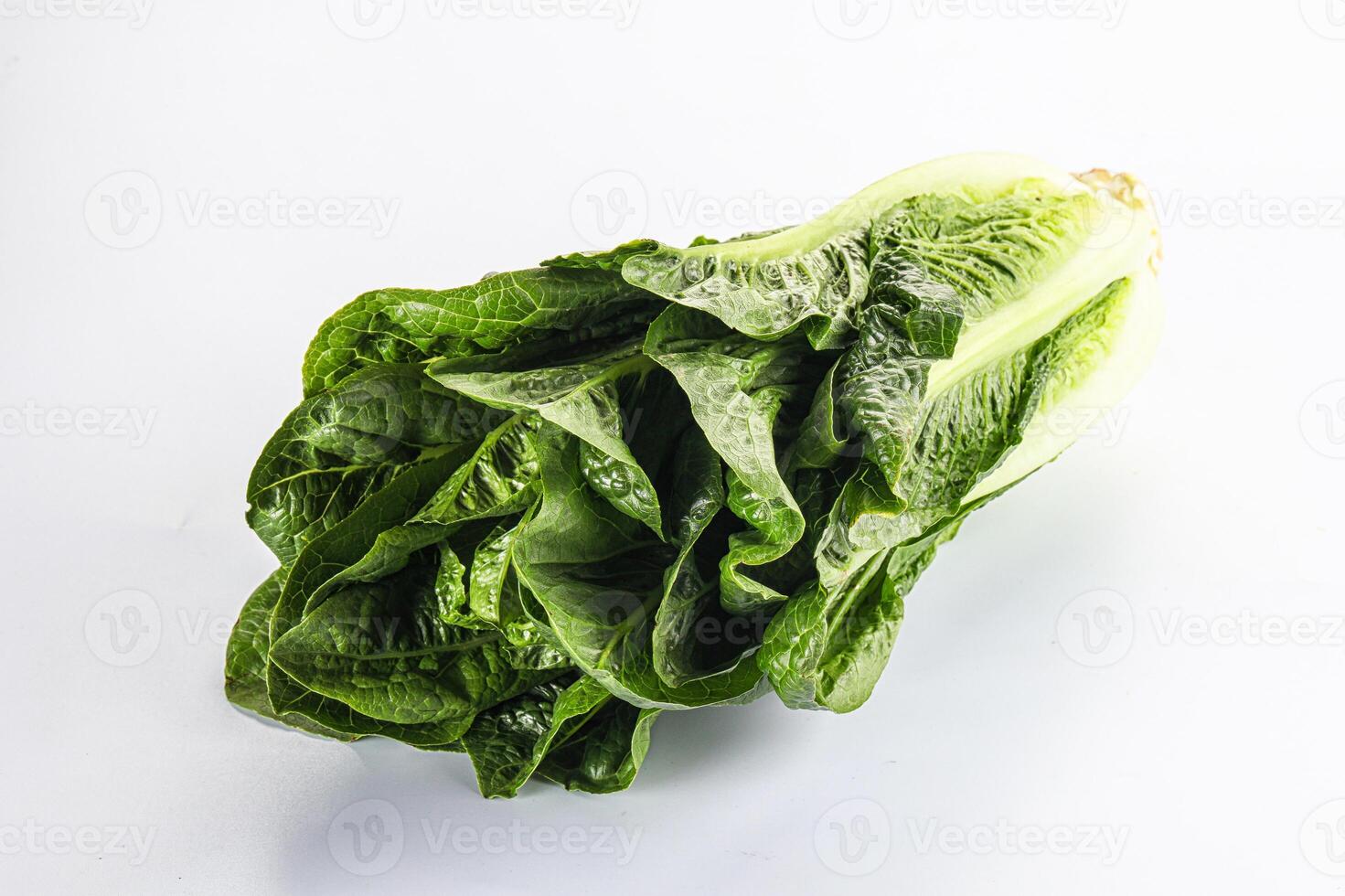 A close up of a lettuce leaf on a white background photo