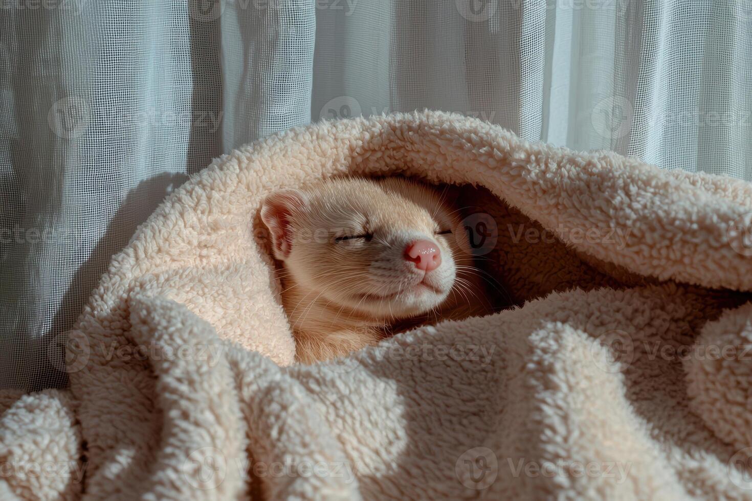 A cute ferret sleeping peacefully in a blanket photo