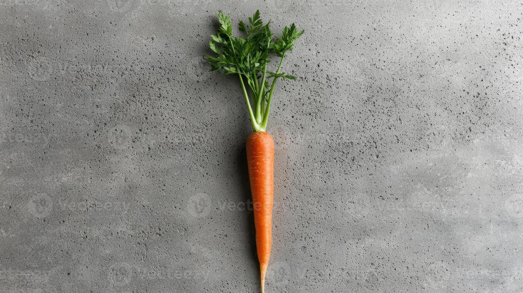Fresh carrot with green leaves on gray background photo