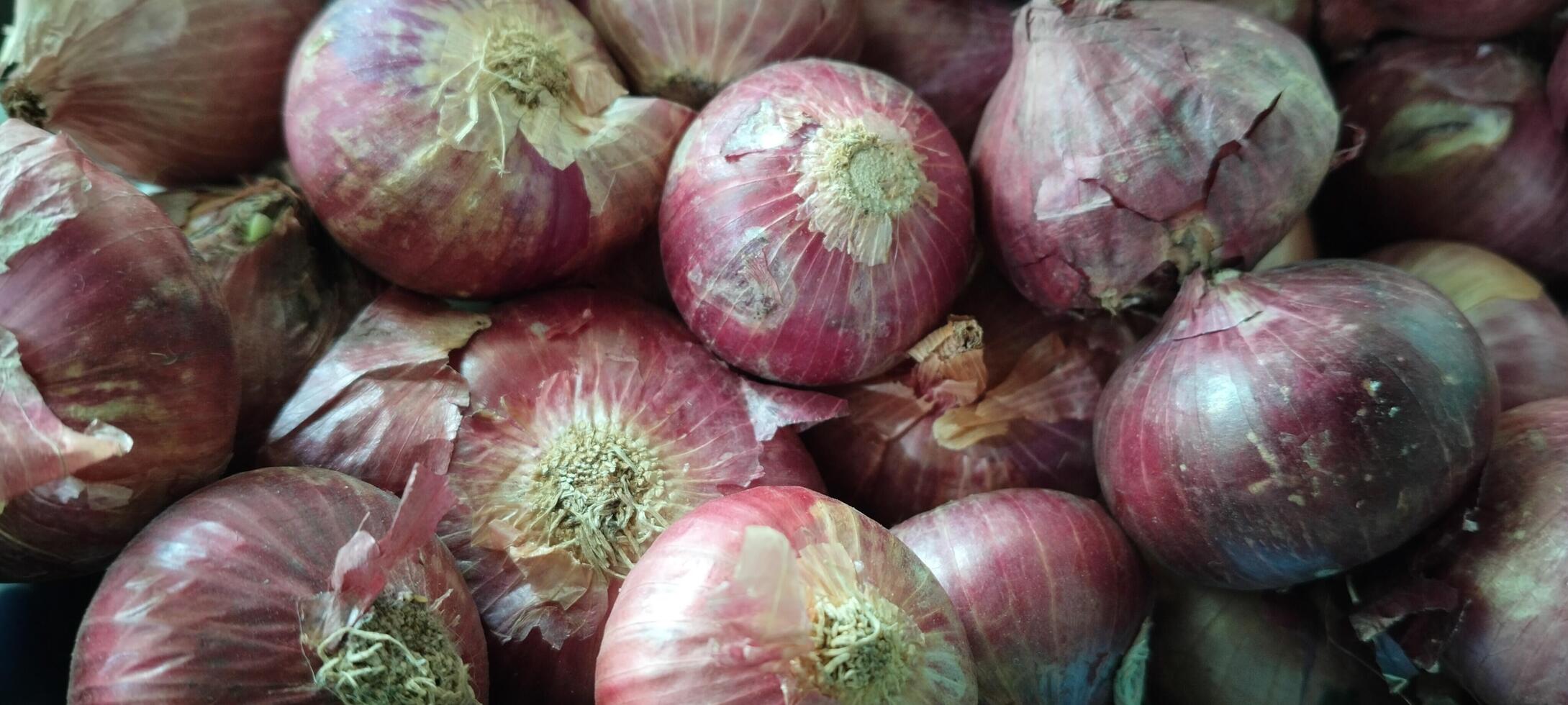 A close-up view of fresh red onions showcasing their vibrant color and papery outer layers. These onions are a staple ingredient in various cuisines, adding rich flavor and depth to countless dishes. photo