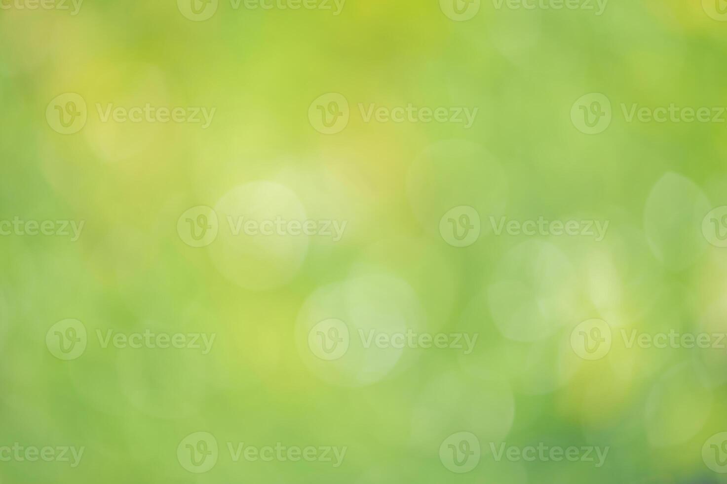 Defocused green background with bright defocus lights. Bokeh, abstract natural background. photo