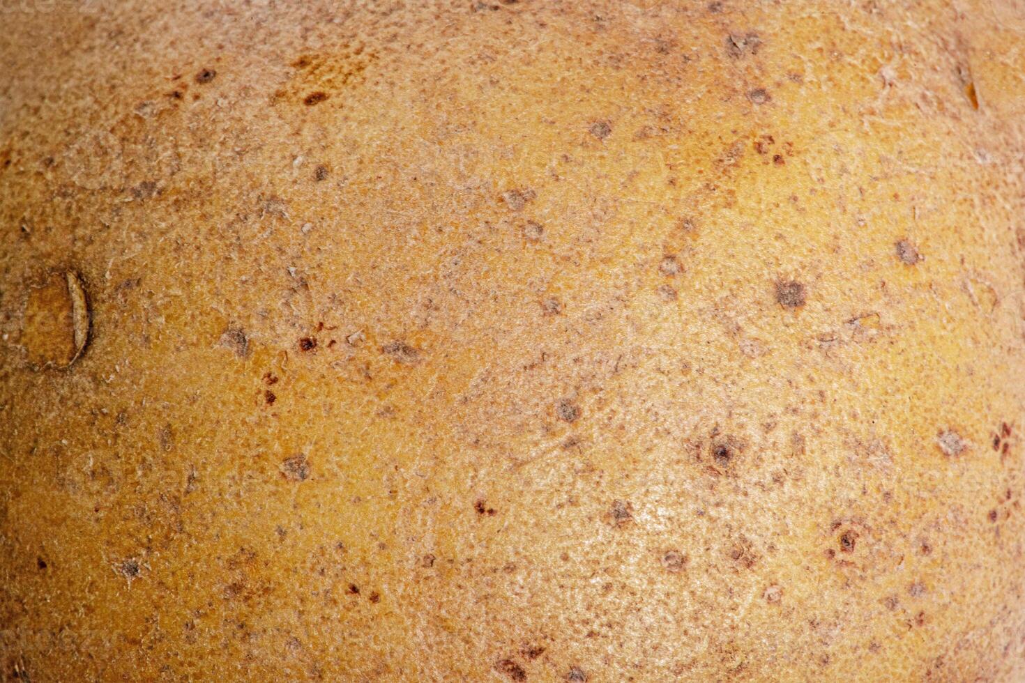 Potato macro photo as background. Food photo, potato texture. Food as a texture background.