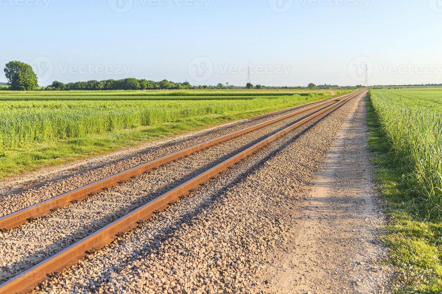 Rustic Railway Track Through Summer Field Under Blue Sky photo