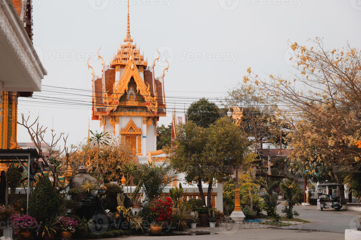 Captivating Scenic View of a Traditional Temple Set Amidst Lush, Verdant Vegetation photo