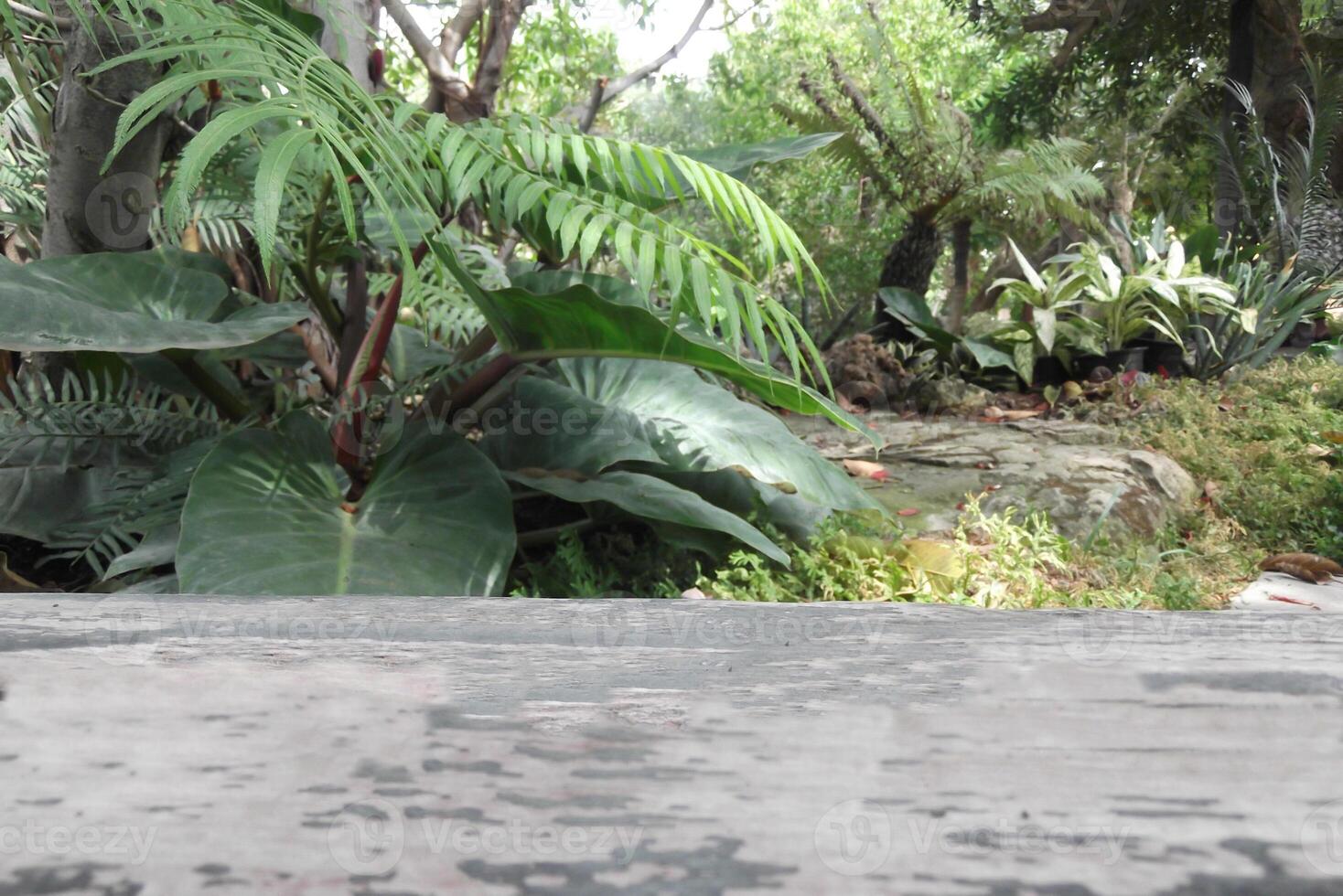 Blurred background of trees in a garden with a wooden table. photo