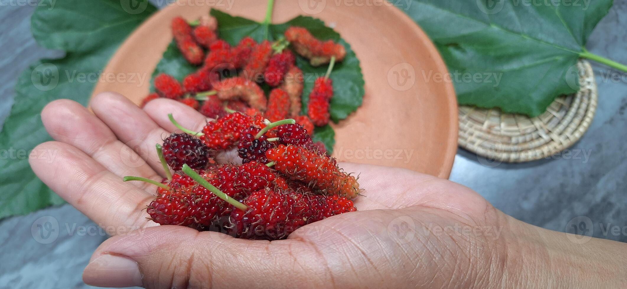 Blurred image of red mulberry in hand photo