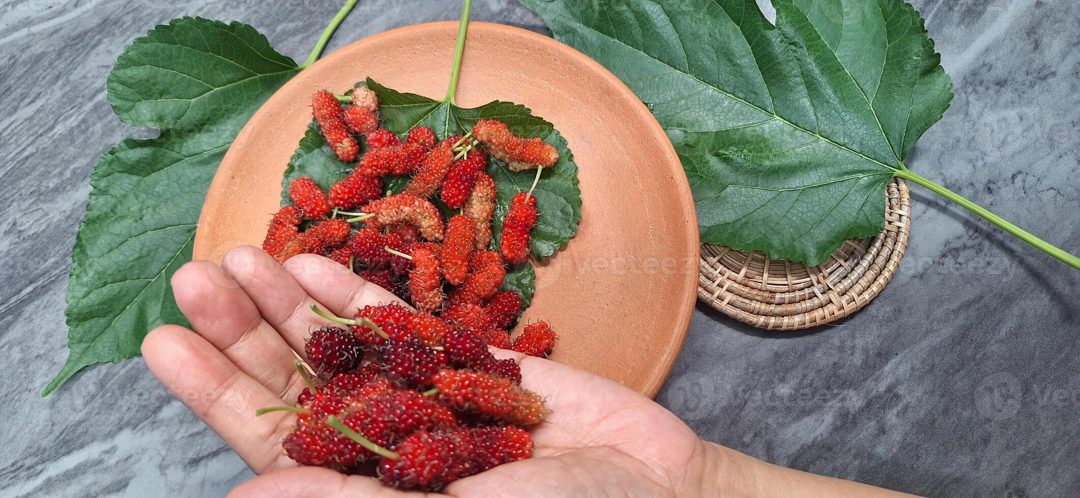 Blurred image of red mulberry fruit in hand photo
