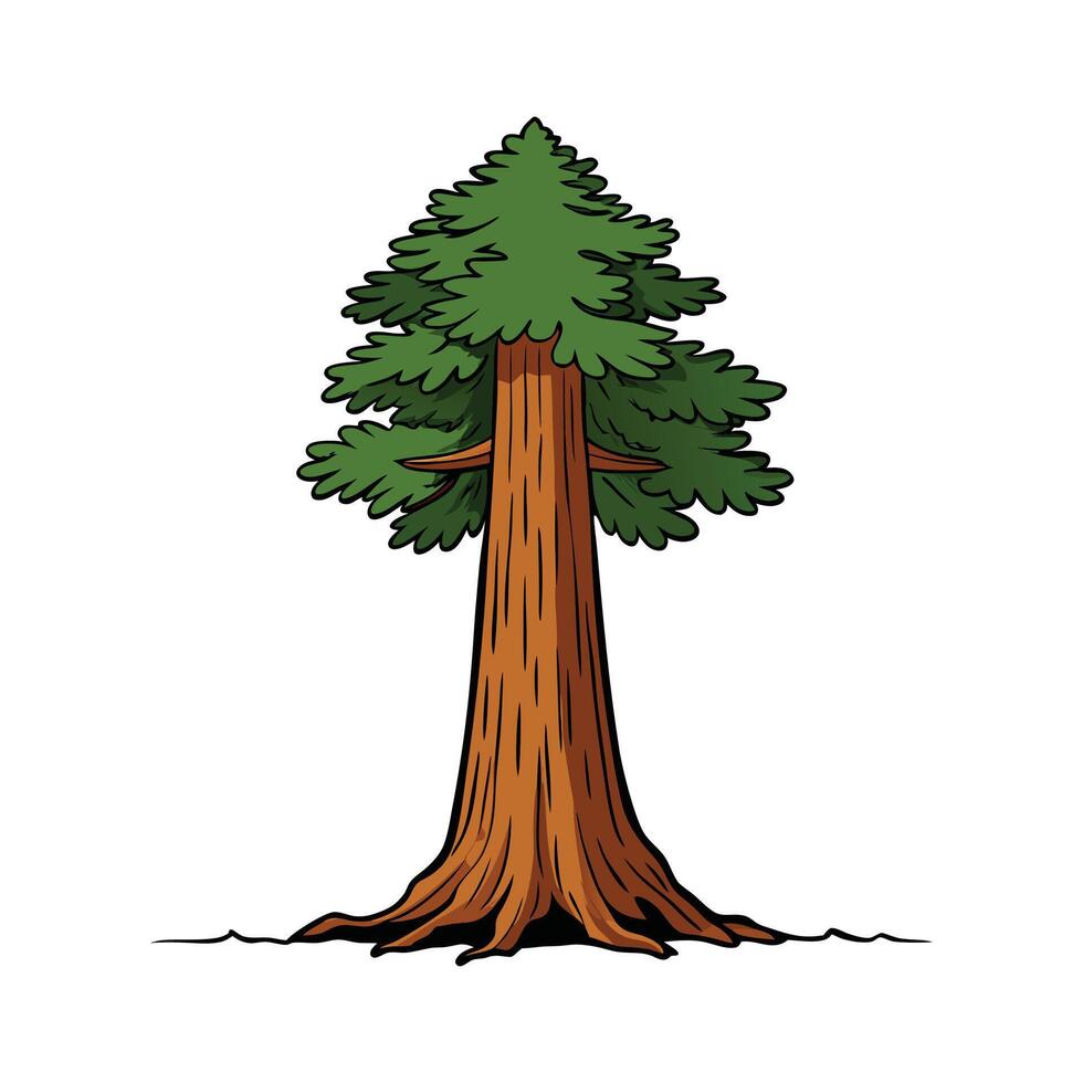 Distinct Giant Sequoia Tree Outline Art. Cartoon Art Tree Illustration. vector