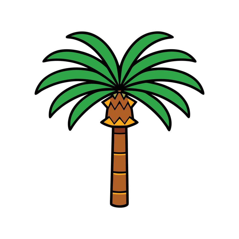 Distinct Mexican Fan Palm Tree Outline Art. Cartoon Art Tree Illustration. vector