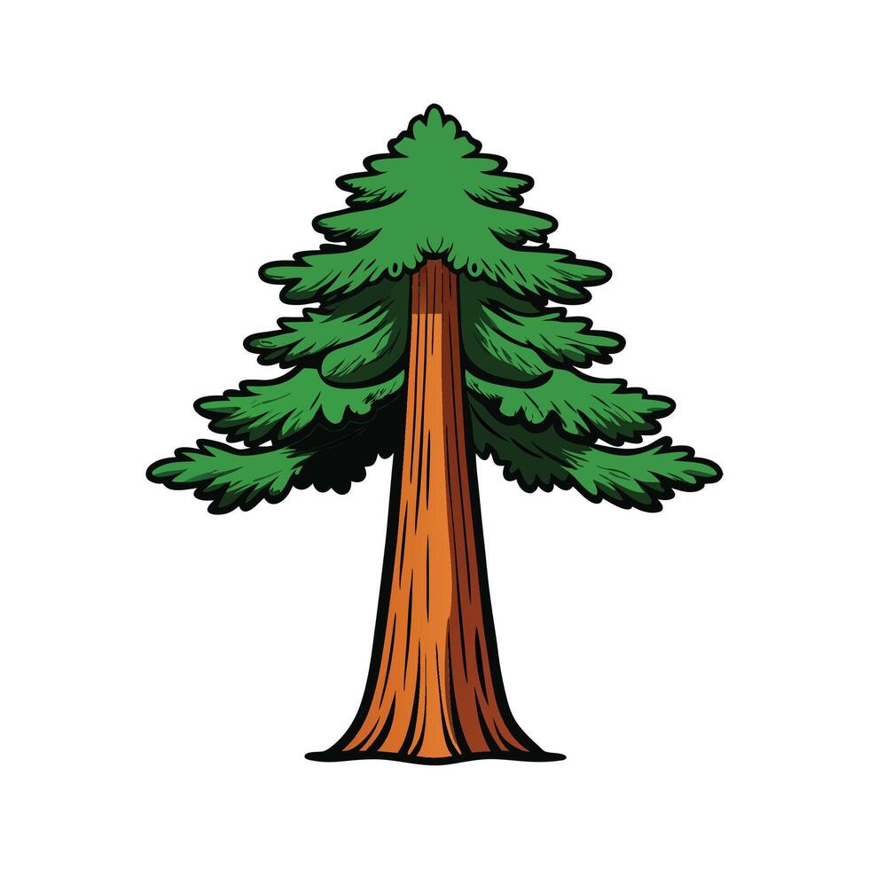Distinct Sequoia Tree Outline Art. Cartoon Art Tree Illustration. vector