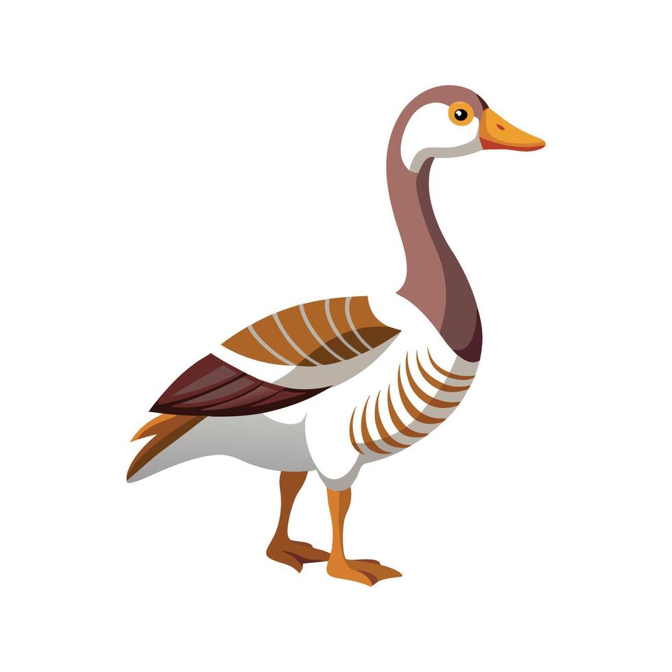 Vivid African Goose Illustration in Color vector