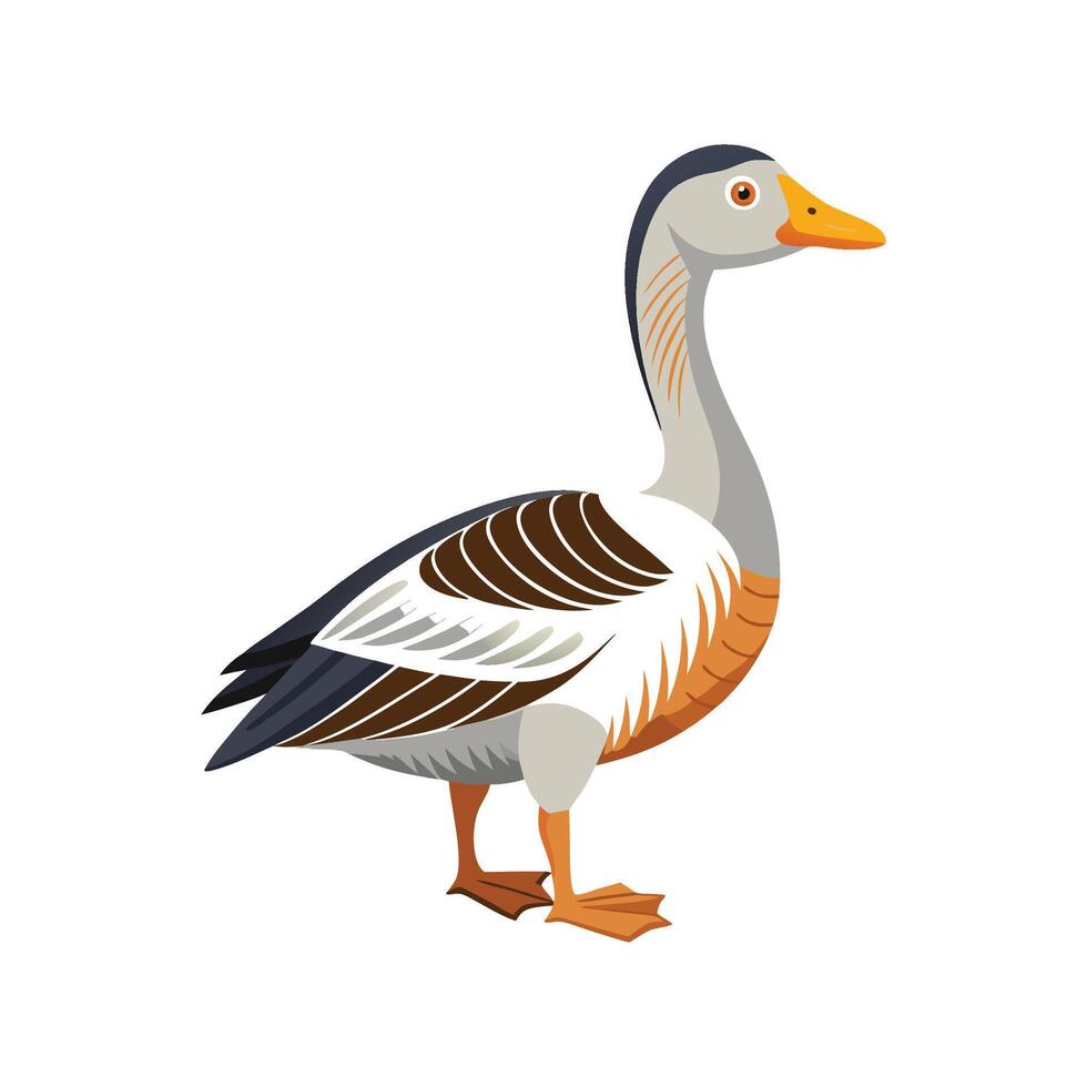 Lifelike African Goose Illustration in Color vector
