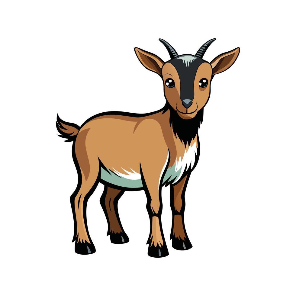 Detailed Realistic African Pygmy Goat Illustration vector