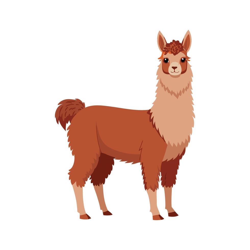 Adorable Alpaca Realistic Illustration on White vector