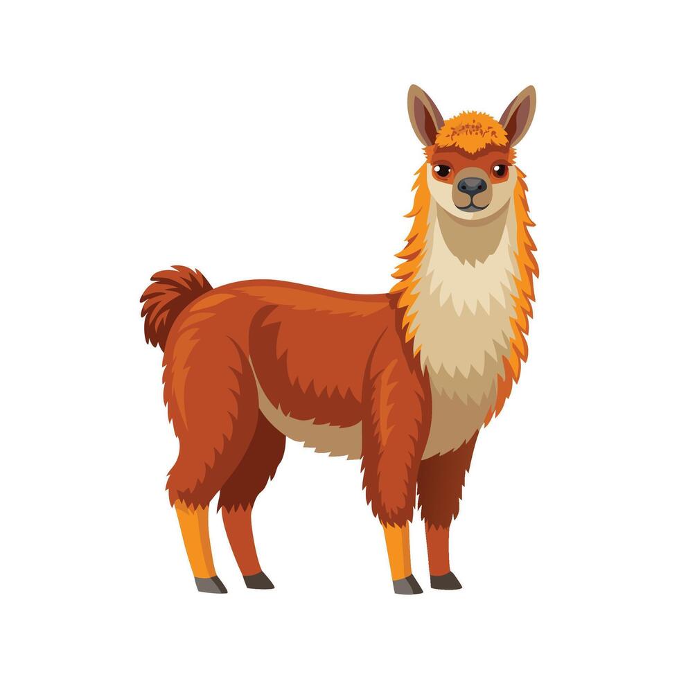 Beautiful Realistic Alpaca Color Illustration vector