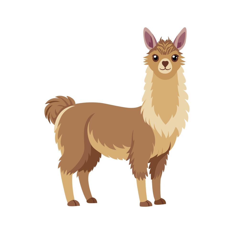 Lifelike Alpaca Vibrant Illustration on White vector