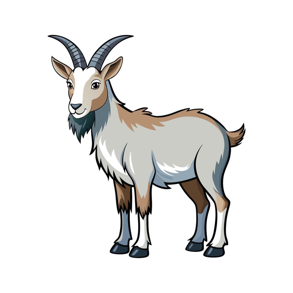 Detailed Alpine Goat Illustration with Outline vector