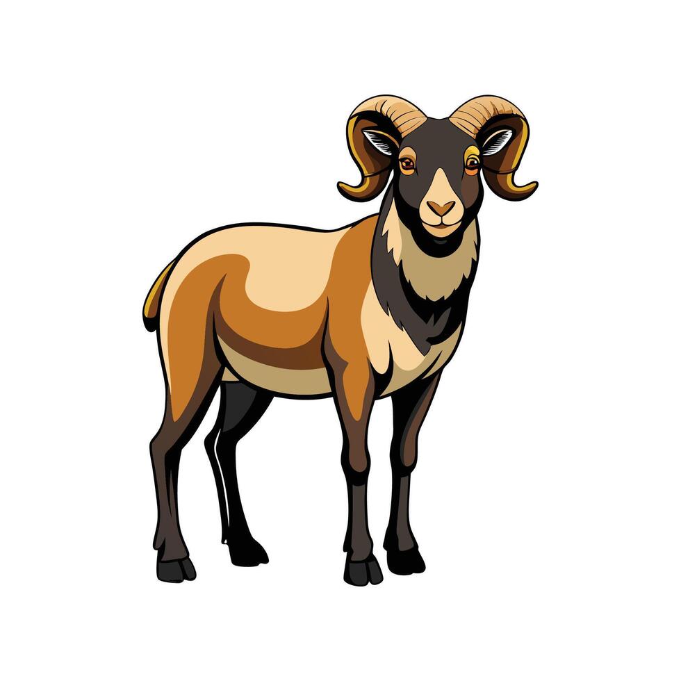 Vivid Realistic American Blackbelly Sheep Illustration vector