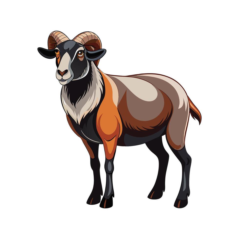 Charming American Blackbelly Sheep Illustration vector