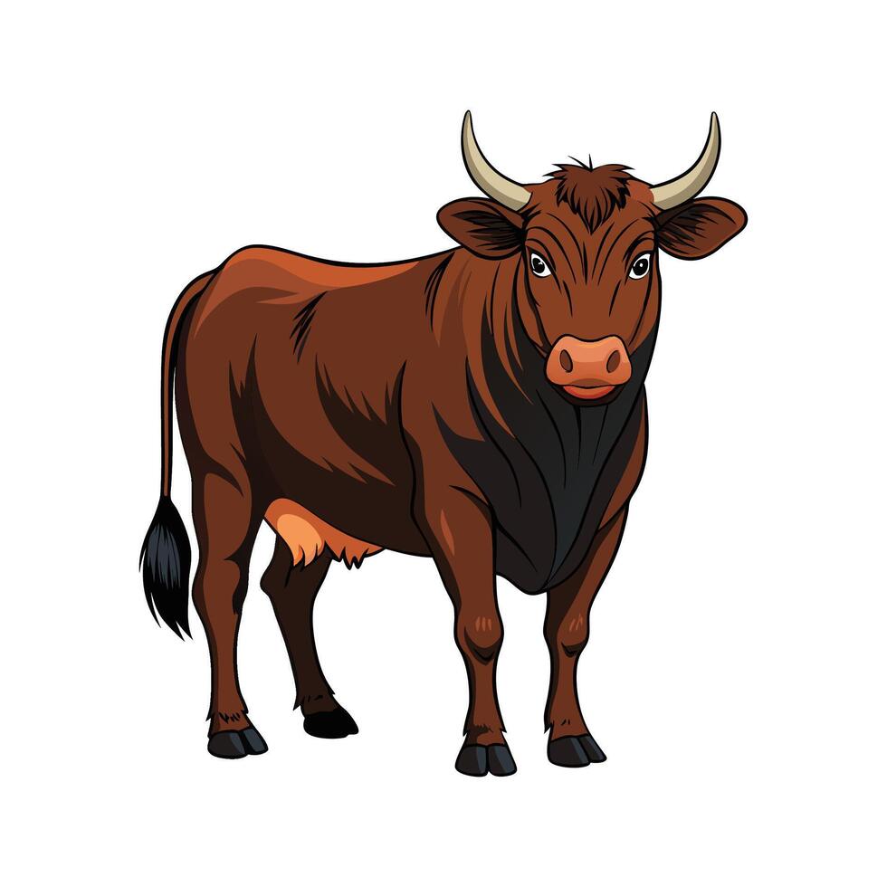 Beautiful Realistic Angus Cow Color Illustration vector