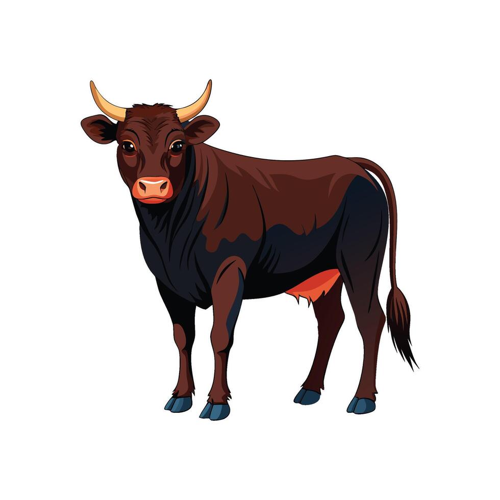 Stunning Angus Cow Realistic Color Illustration vector