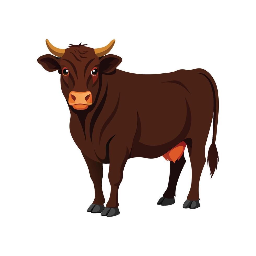 Lifelike Angus Cow Illustration in Realistic Color vector