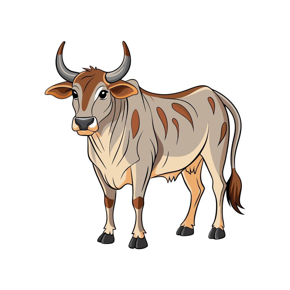 Vivid Brahman Cow Realistic Color Illustration with Outline vector
