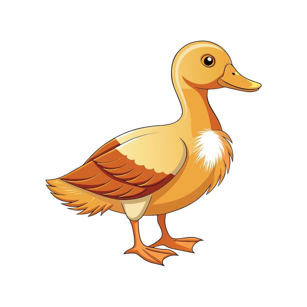 Beautiful Buff Orpington Duck Realistic Color Illustration vector