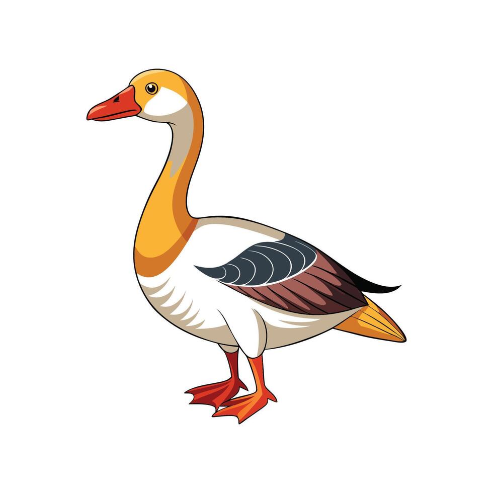Detailed Chinese Goose Realistic Color Illustration vector