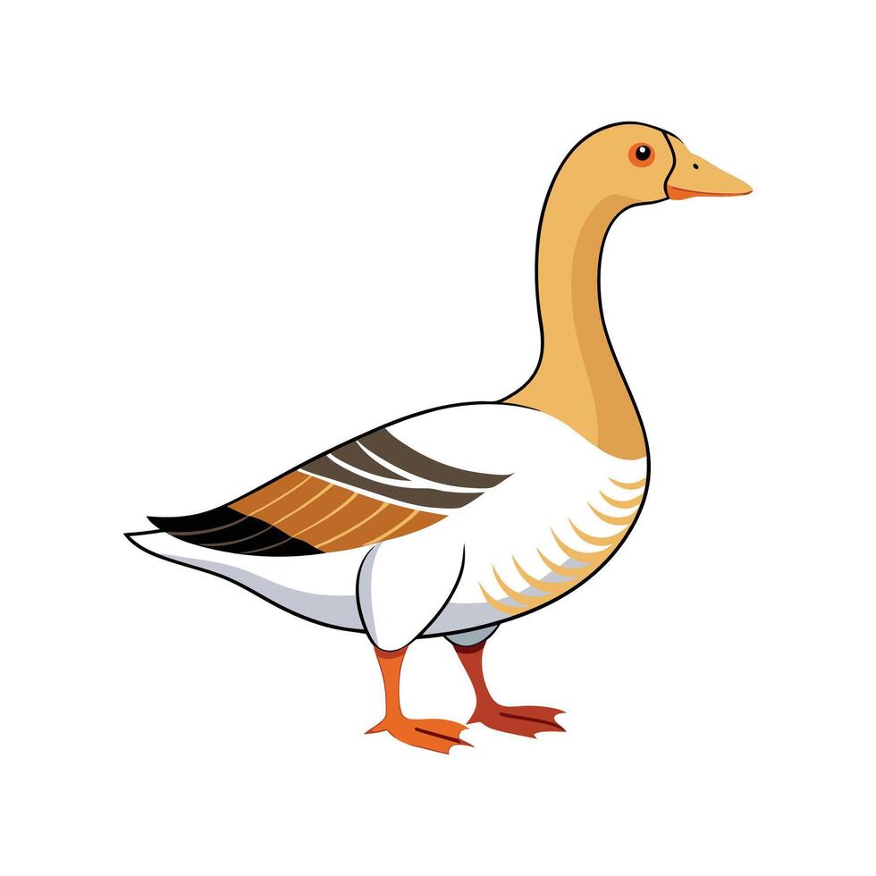 Beautiful Chinese Goose Illustration vector