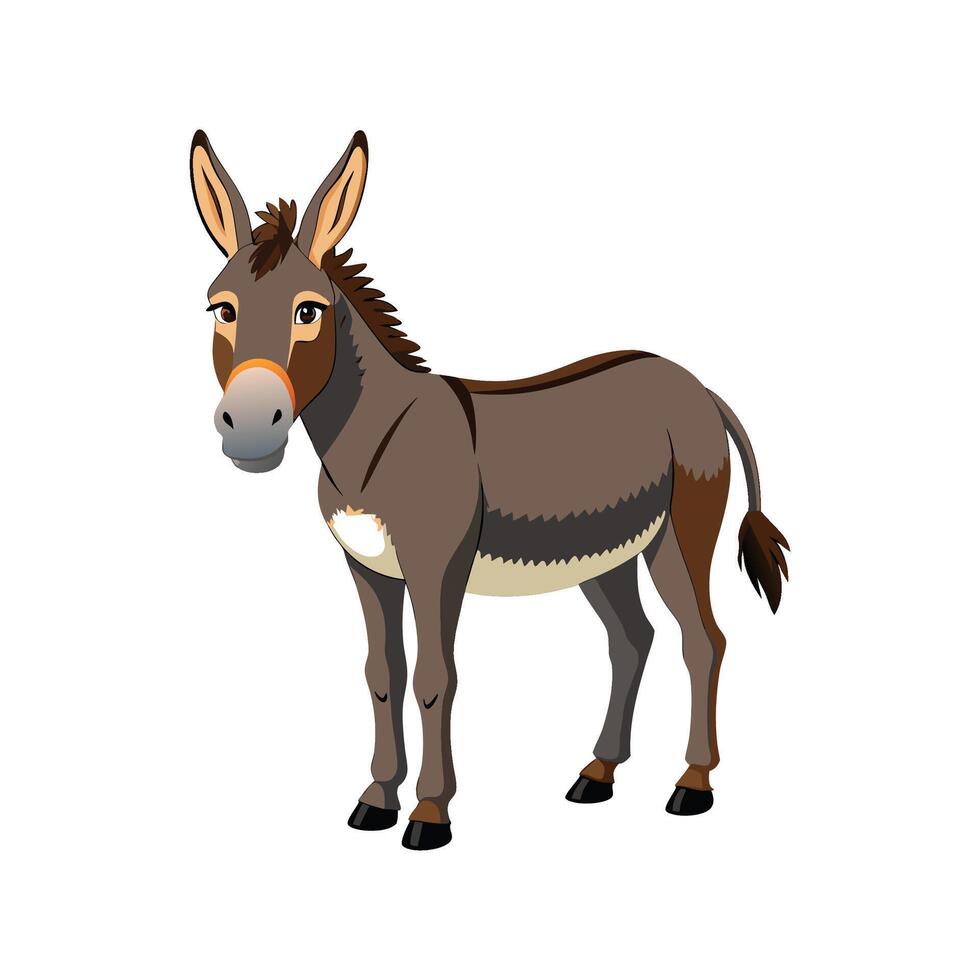 Vivid Donkey Realistic Color Illustration on White Background vector