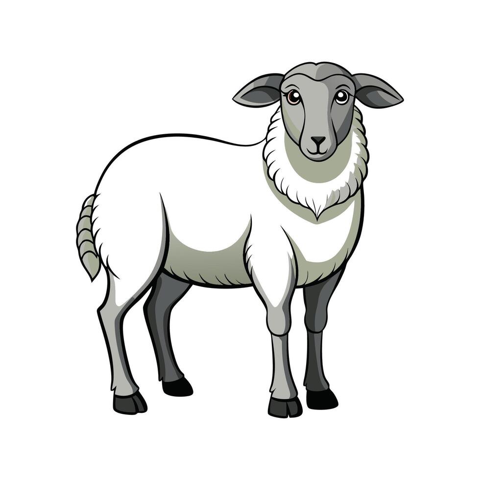 Adorable Dorper Sheep Realistic Color Illustration vector