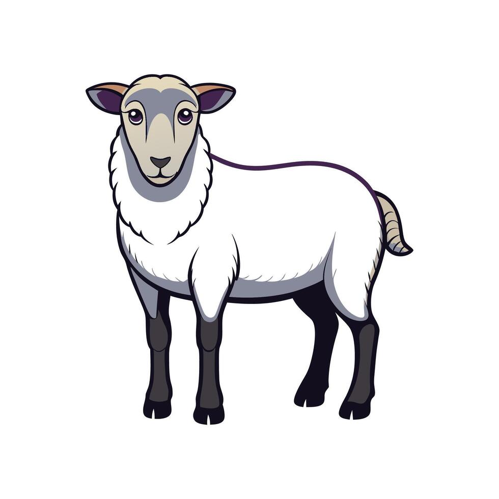 Lovely Dorper Sheep Realistic Color Illustration vector